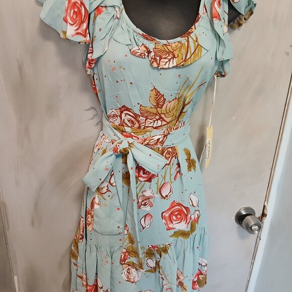 Uncle Frank Aqua Rose Dress - Picture 13 of 14